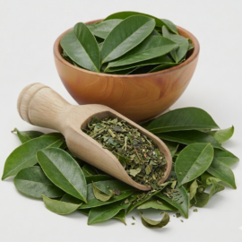 African Soursoup Leaves